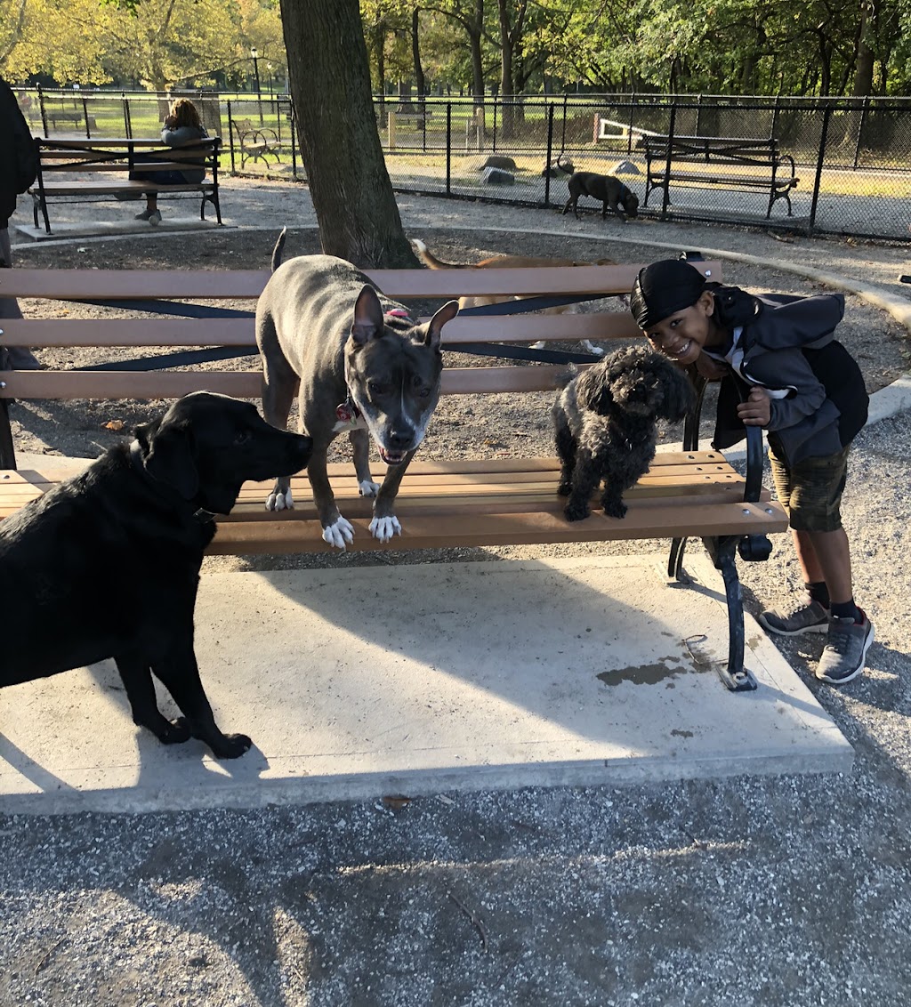 Pelham Bay Dog Run | Unnamed Road, Bronx, NY 10465 | Phone: (212) 639-9675