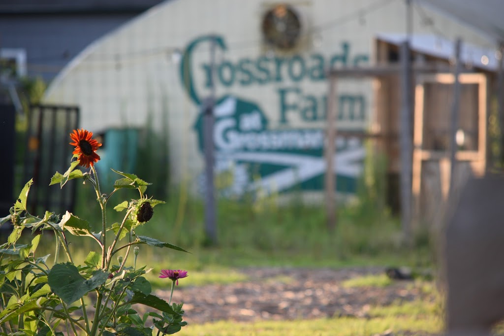 Crossroads Farm at Grossmanns | 480 Hempstead Ave, Malverne, NY 11565 | Phone: (516) 881-7900