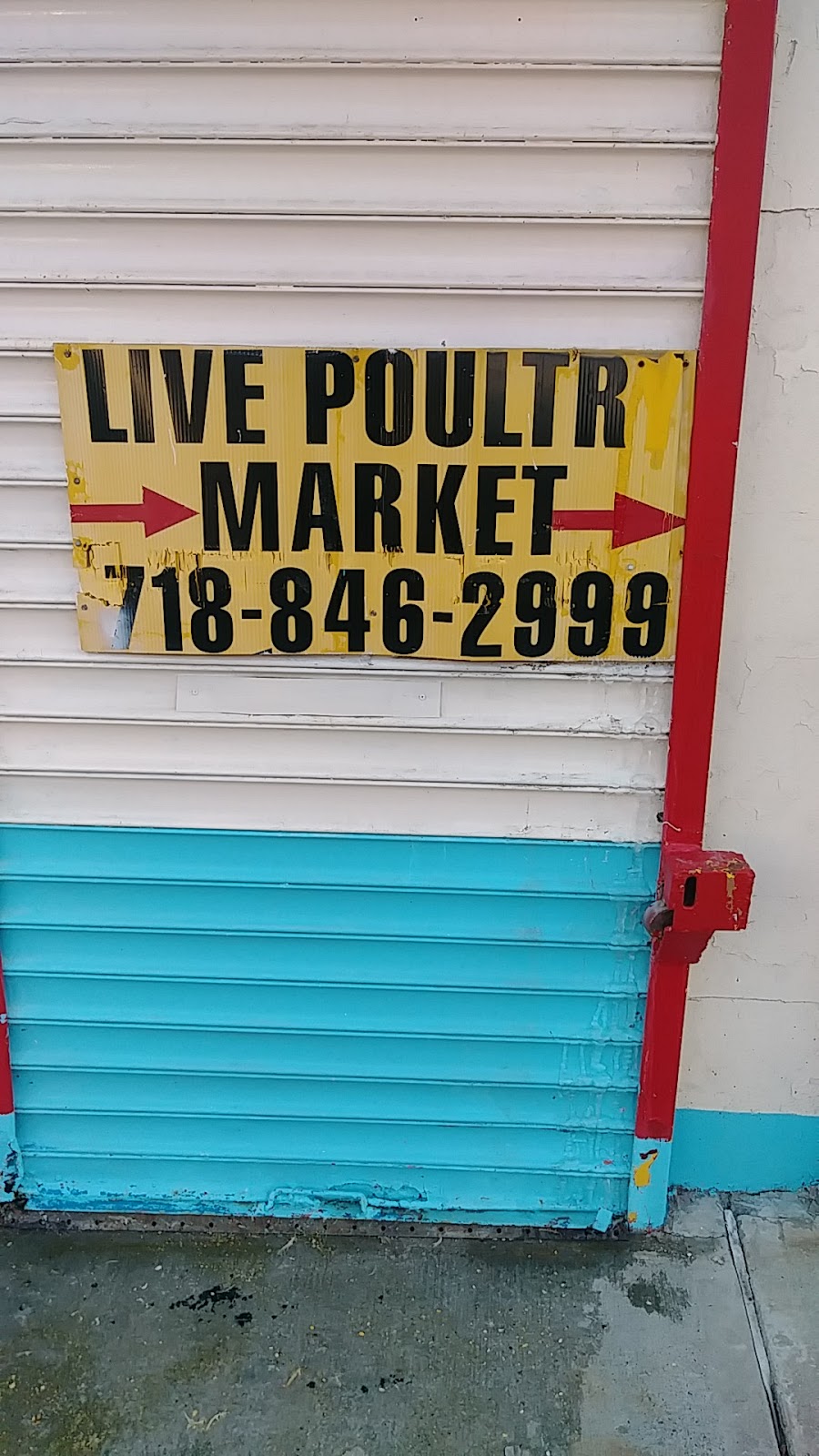 Richmond Hill Poultry Live Market | 130-42 91st Ave, Jamaica, NY 11418 | Phone: (718) 846-2999