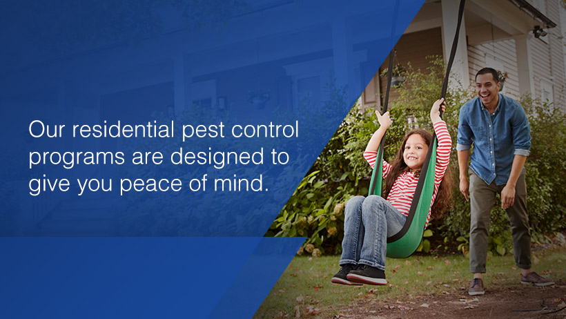 NuBorn Pest Control | 154 E Boston Post Rd, Mamaroneck, NY 10543 | Phone: (914) 239-3831