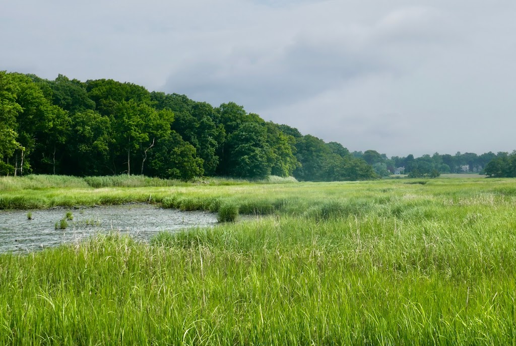 Marshlands Conservancy | 220 Boston Post Rd, Rye, NY 10580 | Phone: (914) 835-4466