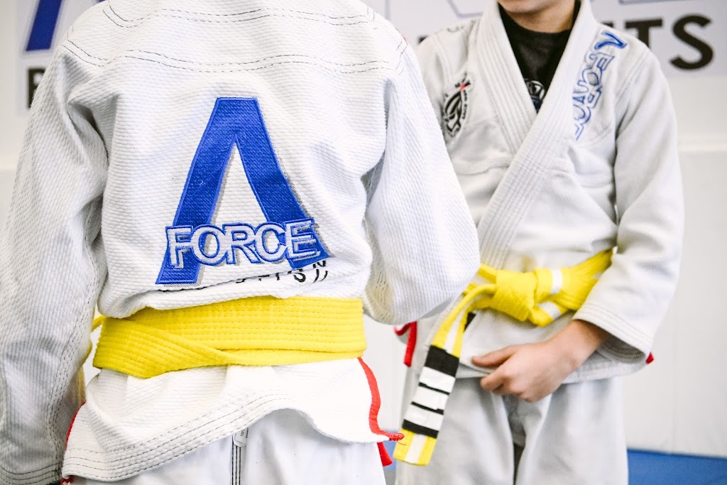 A-Force Brazilian Jiu Jitsu Academy Manhasset | 81 E Shore Rd, Manhasset, NY 11030 | Phone: (516) 344-7812