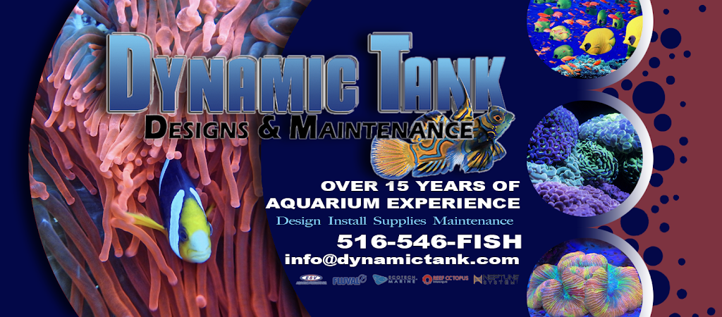 Dynamic Tank Design | 12a Filmore Pl, Freeport, NY 11520 | Phone: (516) 546-3474