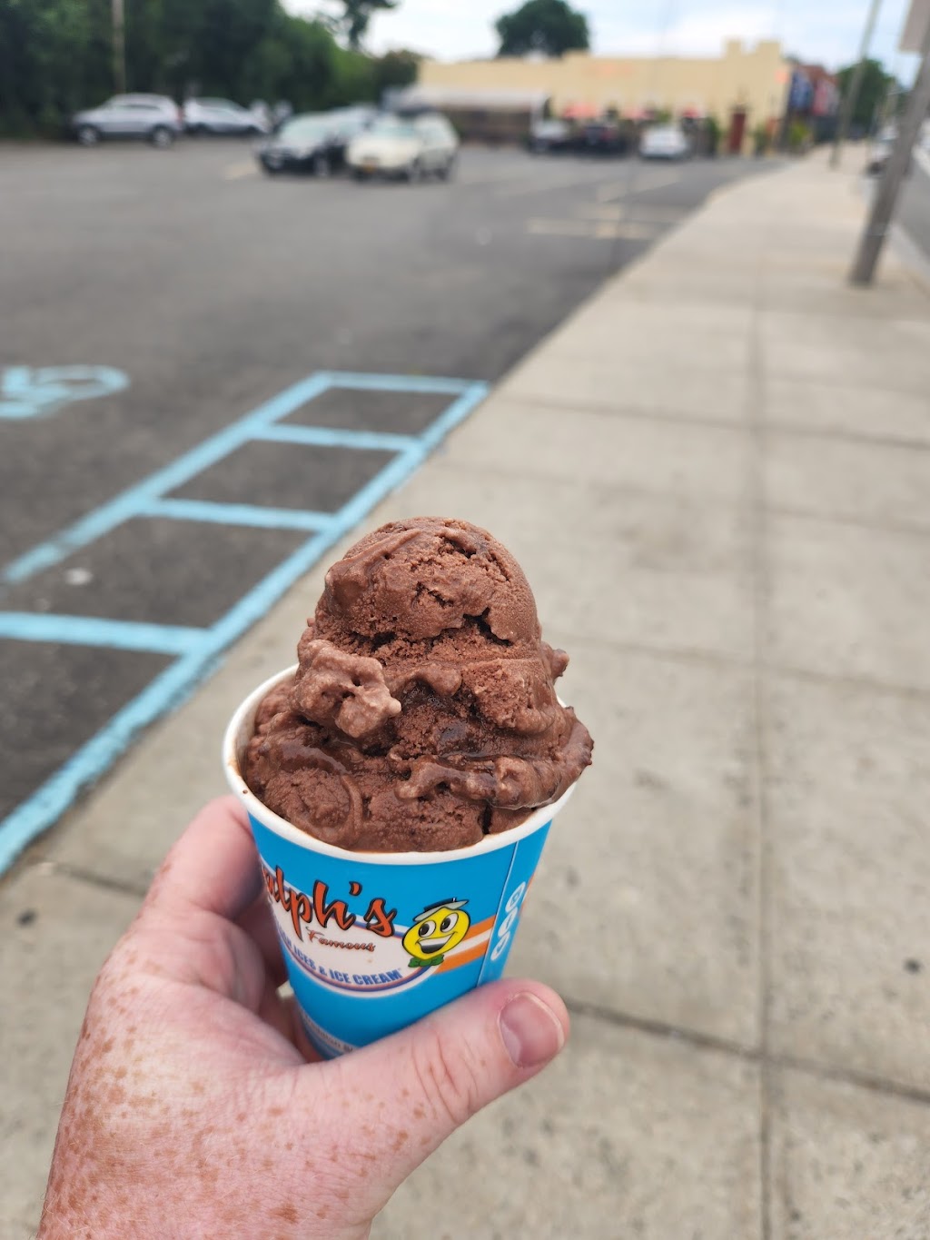 Ralphs Italian Ices | 301 Wantagh Ave, Levittown, NY 11756 | Phone: (516) 520-0618