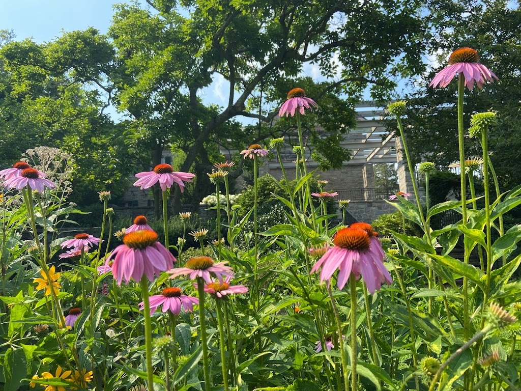 Unitarian Universalist Congregation at Shelter Rock (UUCSR) | 48 Shelter Rock Rd, Manhasset, NY 11030 | Phone: (516) 627-6560