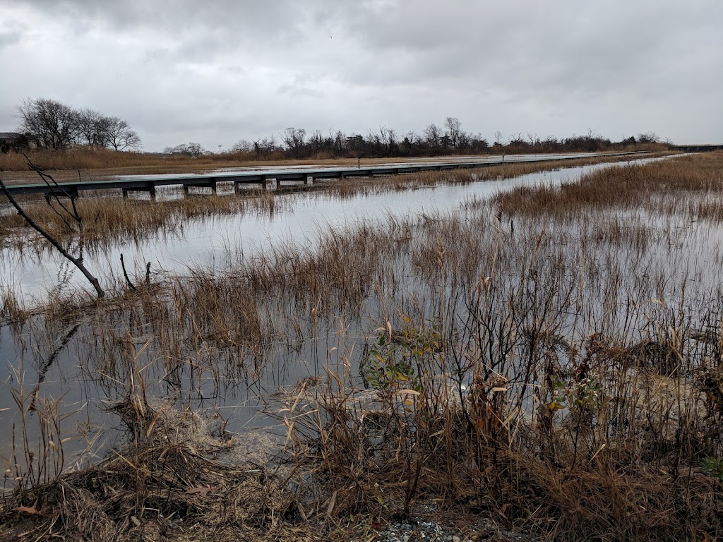 Marine Nature Study Area | 500 Slice Dr, Oceanside, NY 11572 | Phone: (516) 766-1580