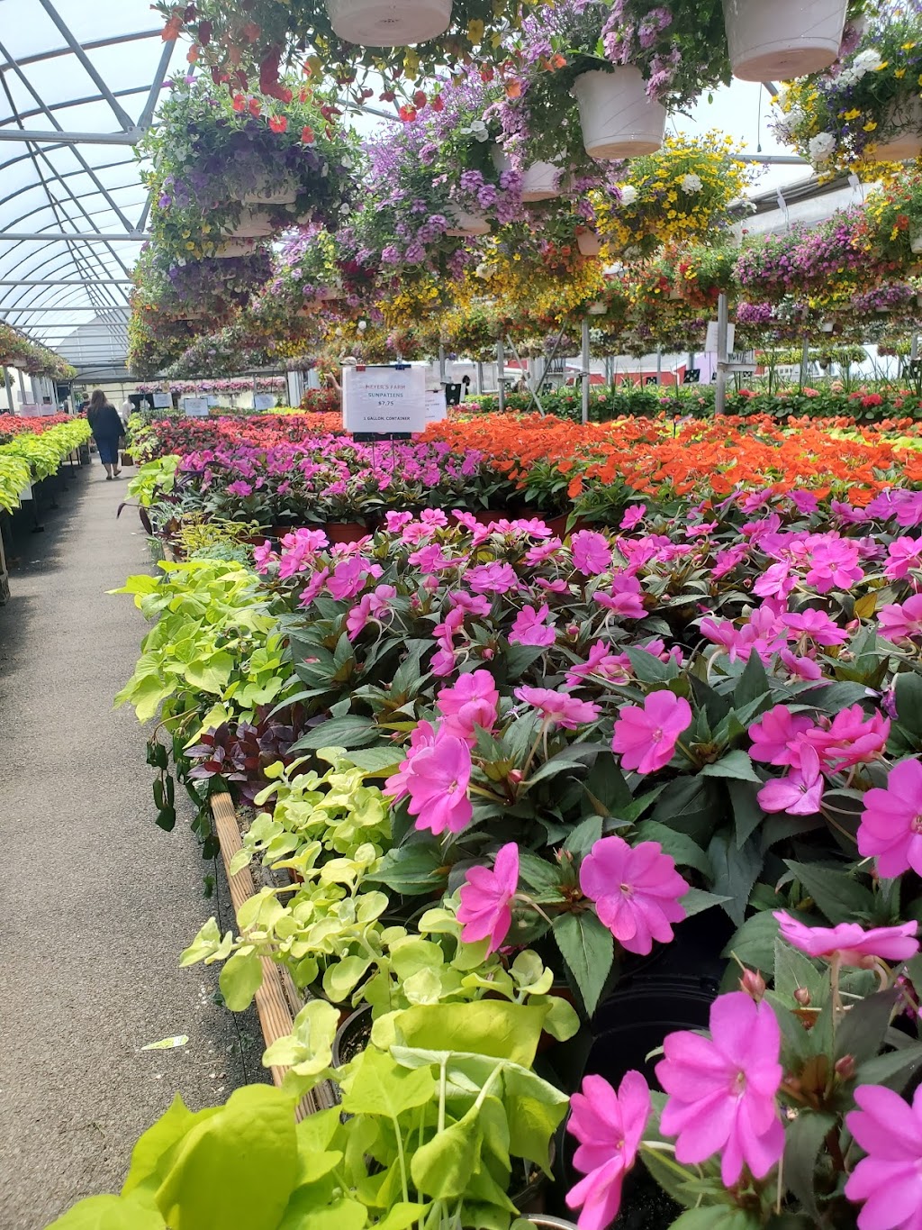 MEYER’S FARM & GREENHOUSES | 146 Piquets Ln, Woodbury, NY 11797 | Phone: (516) 364-1777