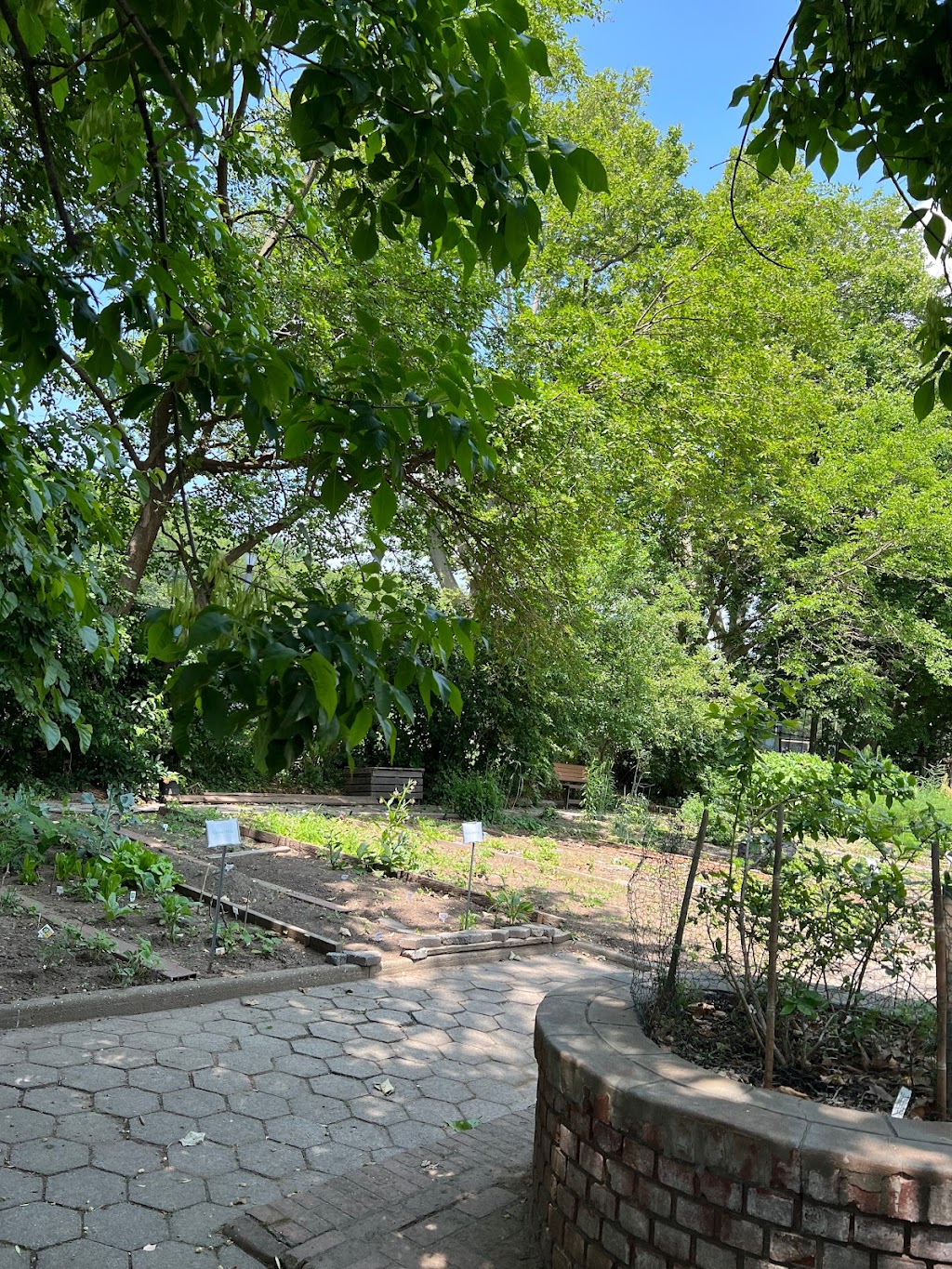 Highland Park Community Garden | 398 Jamaica Ave, Brooklyn, NY 11207 | Phone: (718) 235-4100