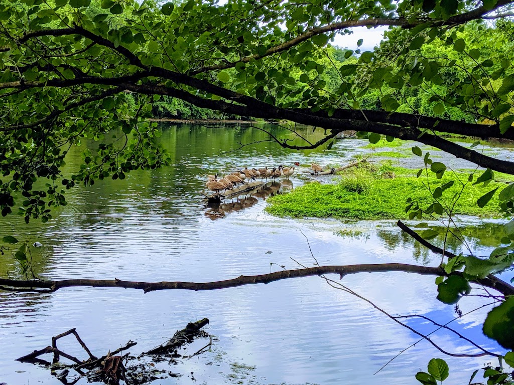 Bronx River Park | 2 Bronx River Pkwy, Scarsdale, NY 10583 | Phone: (914) 723-4058