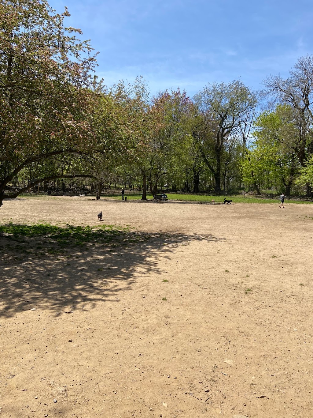 Paws Place Dog Park | 300 Broadfield Rd, New Rochelle, NY 10804 | Phone: (914) 654-2087