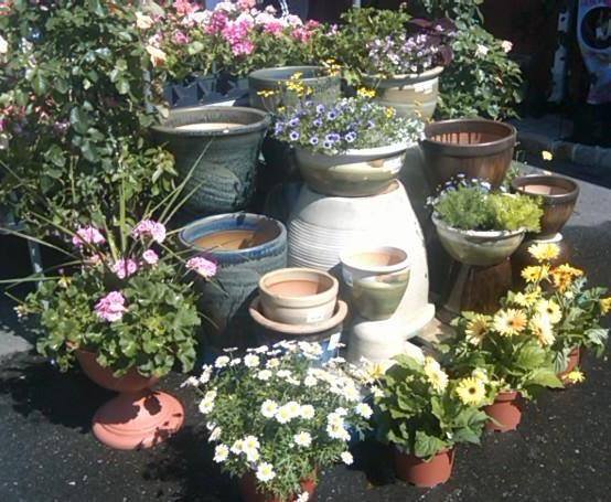 Starkie Bros Garden Center | 721 Main St, Farmingdale, NY 11735 | Phone: (516) 293-7148