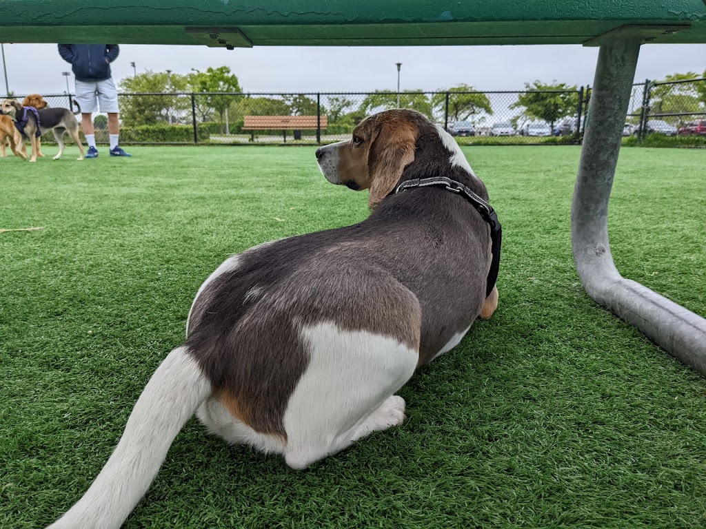 Wantagh Park Dog Run | Wantagh Park Dog Run, 1 King Rd, Wantagh, NY 11793 | Phone: (516) 571-7461