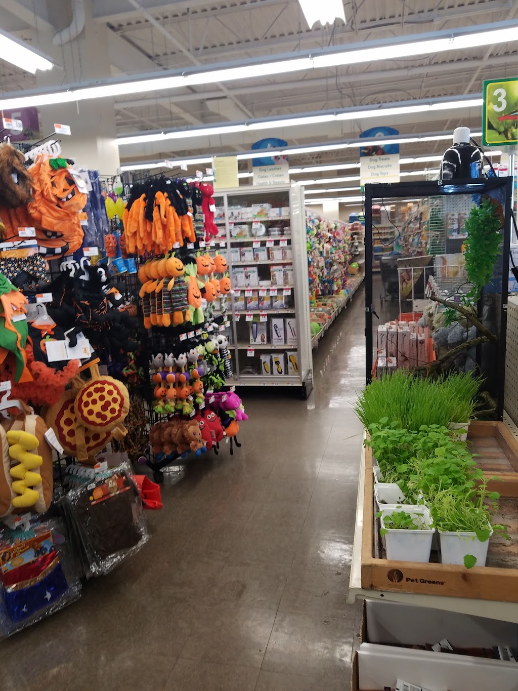 Pet Supplies Plus Oceanside | 3644 Long Beach Rd, Oceanside, NY 11572 | Phone: (516) 855-0286