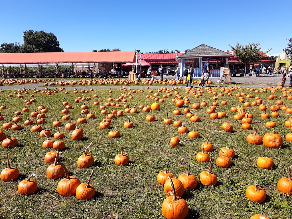 White Post Farms of Melville | 250 Old Country Rd, Melville, NY 11747 | Phone: (631) 351-9373