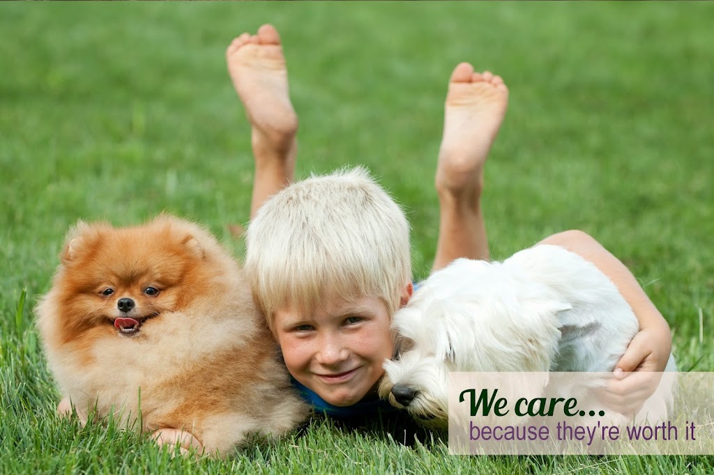 For Pets Only | 185A South St, Oyster Bay, NY 11771 | Phone: (516) 922-1526