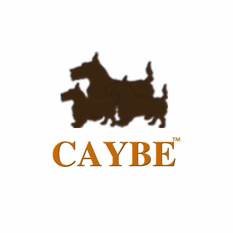 CAYBE LLC | 111 Schaefer St, Brooklyn, NY 11207 | Phone: (917) 600-6083