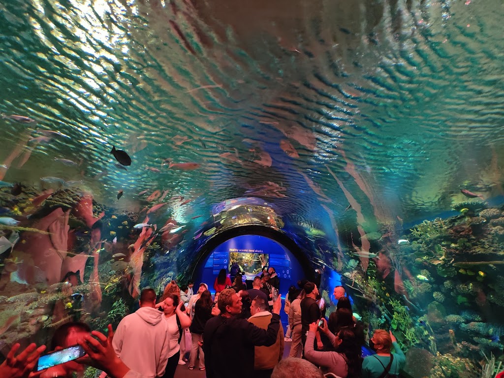 New York Aquarium | 3099 W 8th St, Brooklyn, NY 11224 | Phone: (718) 220-5100