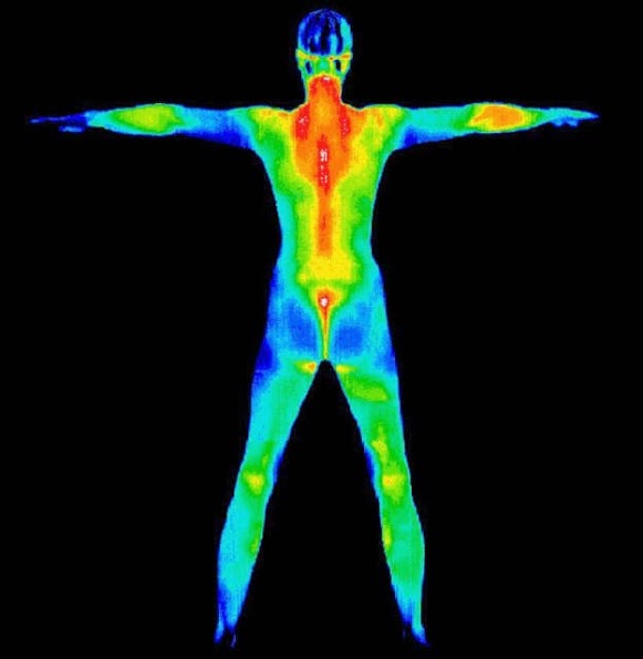 Thermographic Health Advantage | 64 Theodore Roosevelt Dr, Blauvelt, NY 10913 | Phone: (845) 222-6923