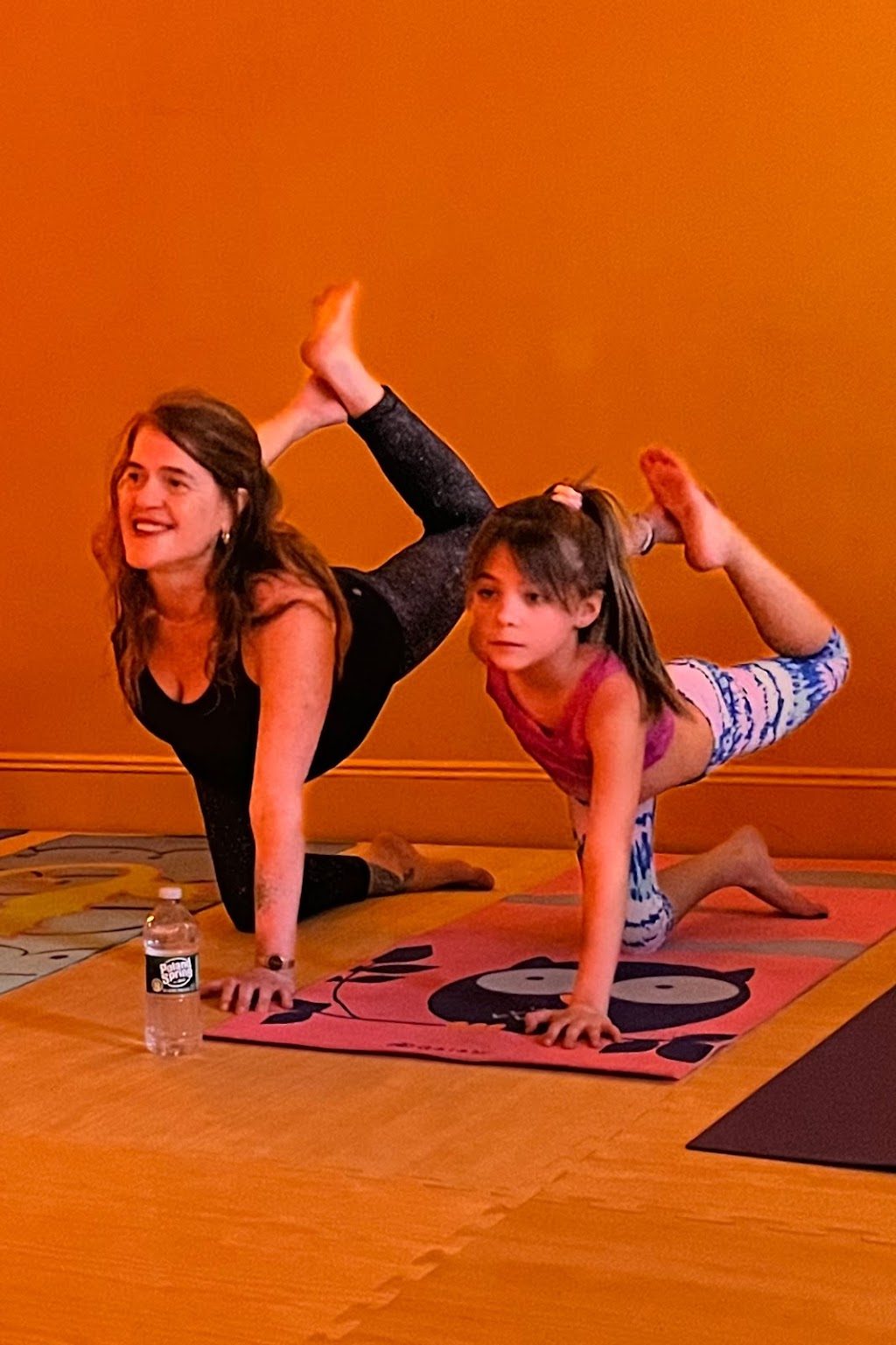 Yoga Oasis | 100 Woodbury Rd, Woodbury, NY 11797 | Phone: (516) 367-8500