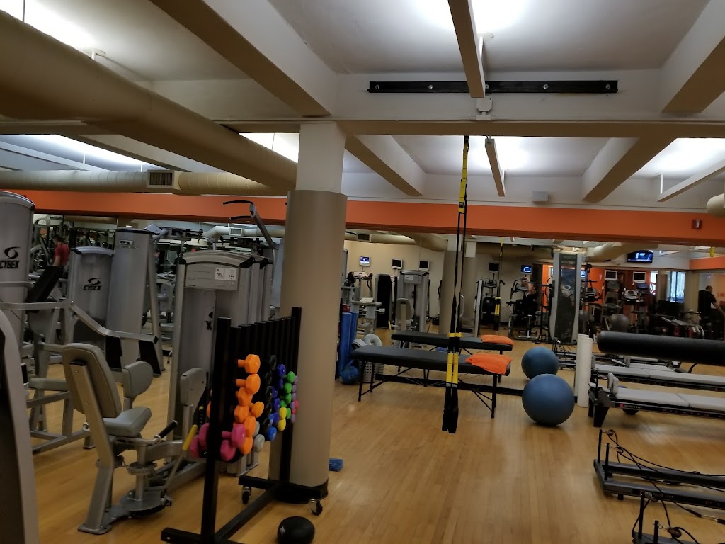 Excel Physical Therapy + Workout | 1482 Northern Blvd, Manhasset, NY 11030 | Phone: (516) 627-3009