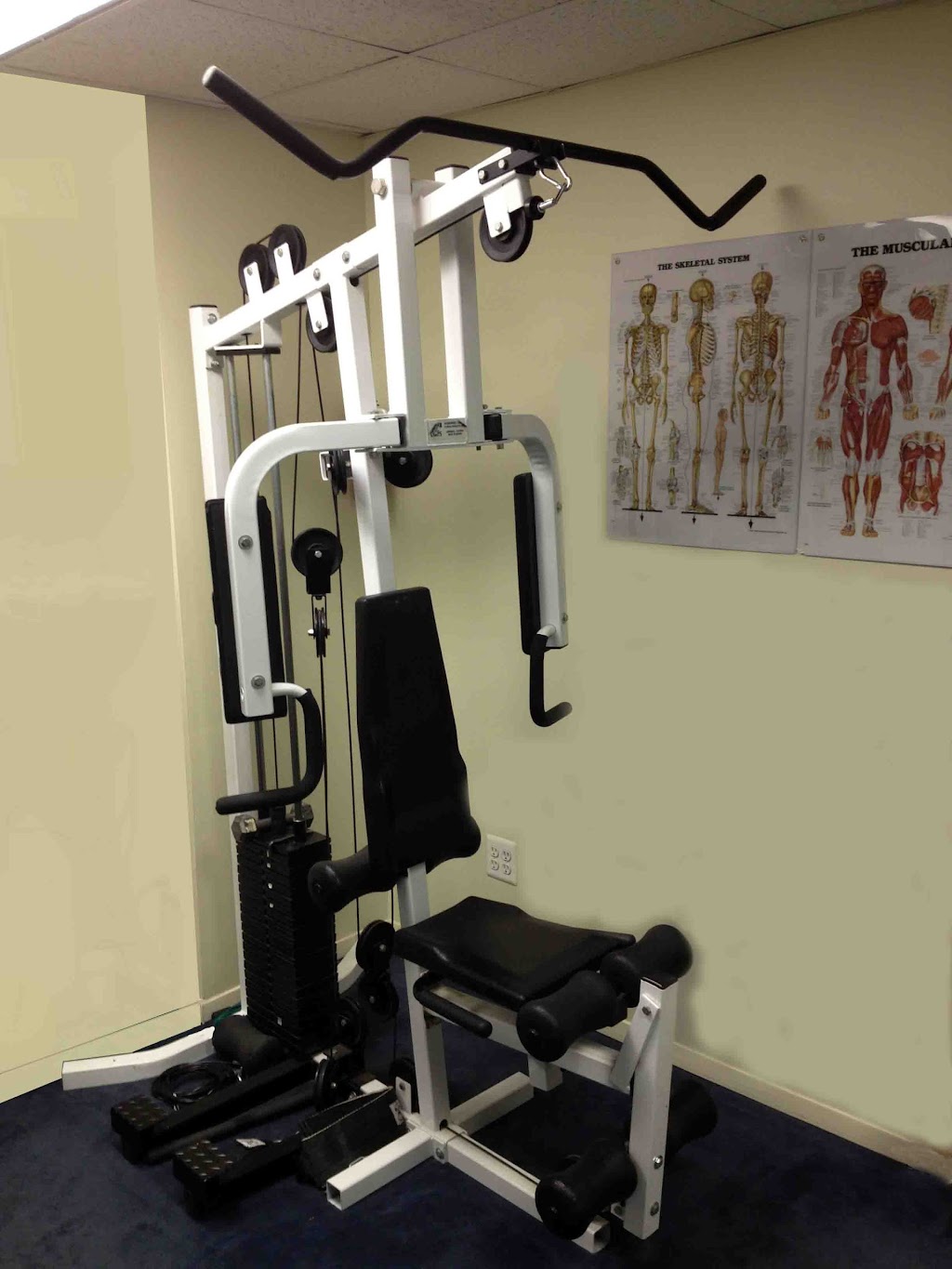 Physical Therapy Services | 1039 Cedar Dr S, New Hyde Park, NY 11040 | Phone: (516) 741-1620