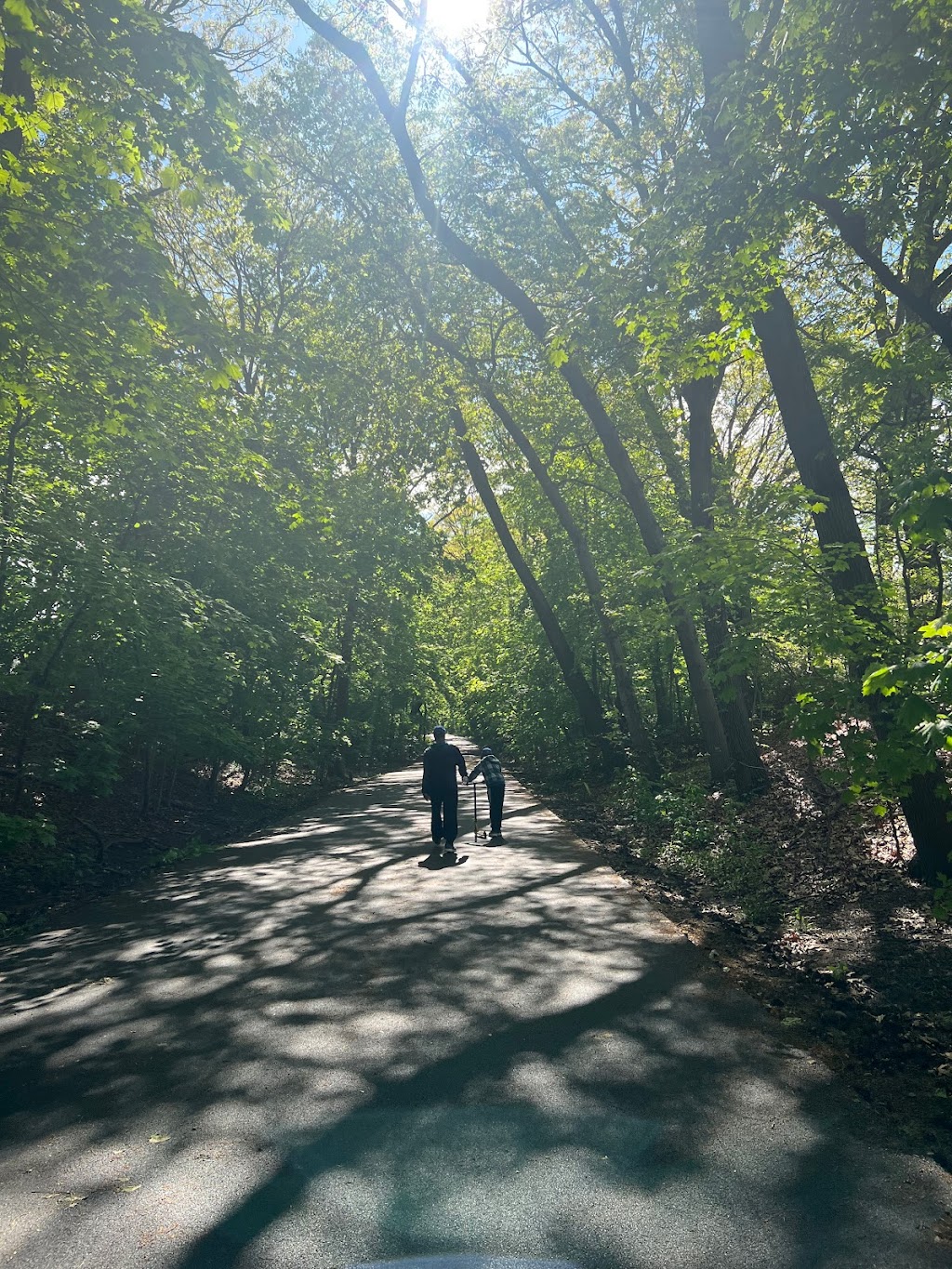 Wild Flower Meadow Playground | Alley Pond Park, Queens, NY 11364 | Phone: (212) 639-9675