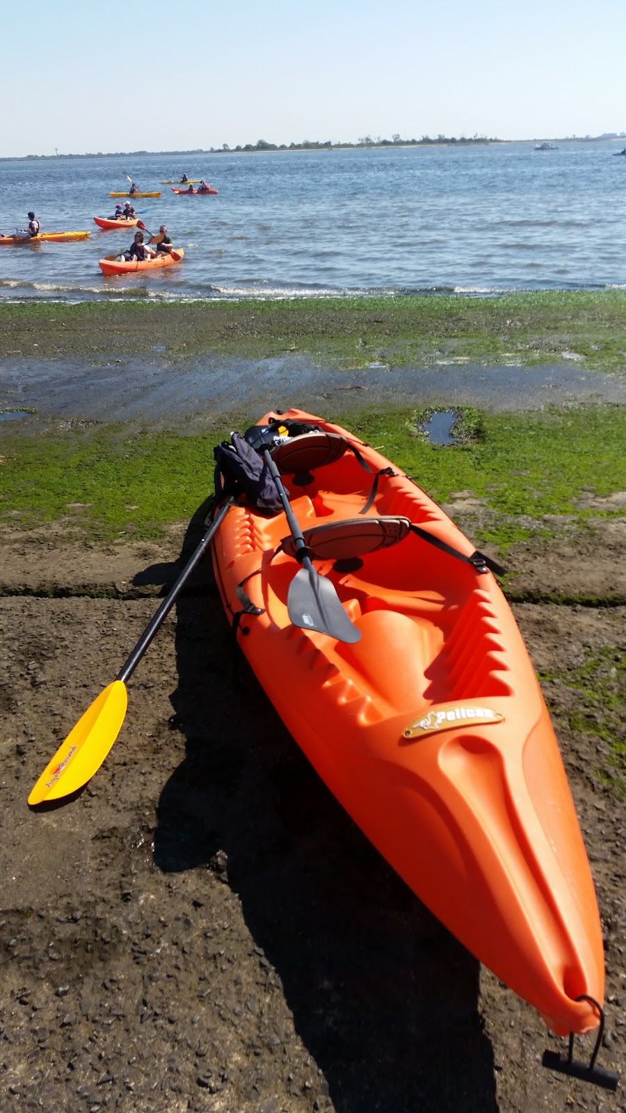 Seaplane Kayak Launch (Floyd Bennett Field) | Aviation Rd, Brooklyn, NY 11234 | Phone: (718) 338-3799