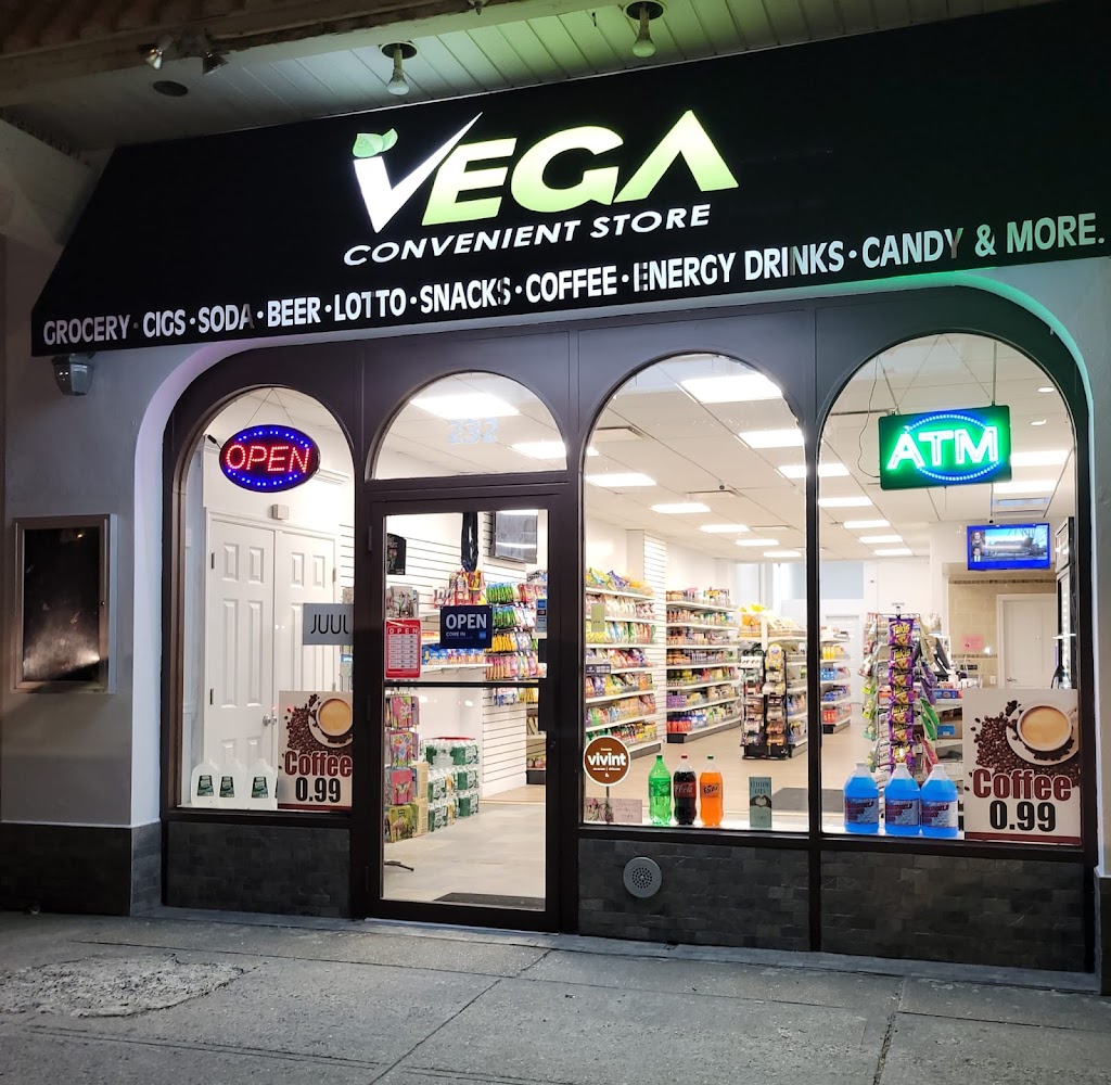 VEGA CONVENIENT STORE INC | 232 W Park Ave, Long Beach, NY 11561 | Phone: (516) 608-5340