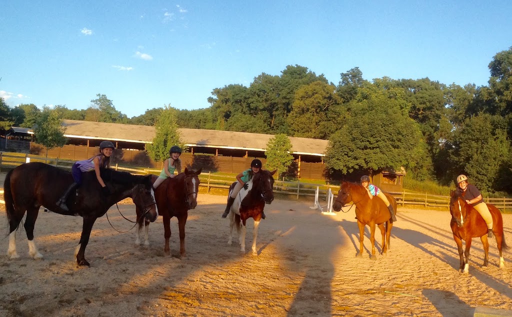 Thomas School Of Horsemanship Summer Day Camp & Riding School | 250 Round Swamp Rd, Melville, NY 11747 | Phone: (631) 692-6840