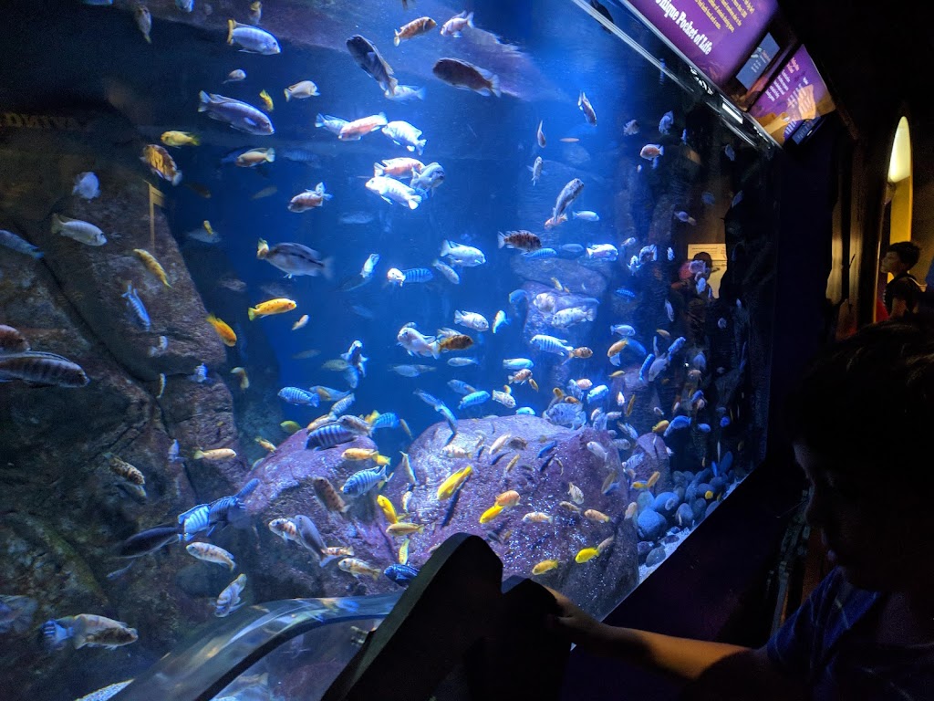 New York Aquarium | 602 Surf Ave, Brooklyn, NY 11224 | Phone: (718) 265-3474