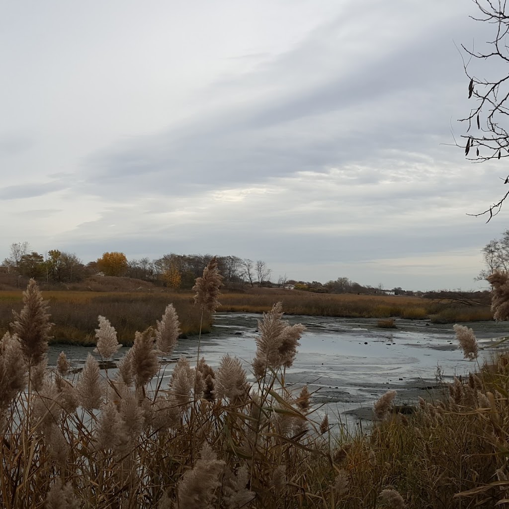 Idlewild Park Preserve Environmental Science Learning Center | 149-20 Springfield Ln, Queens, NY 11413 | Phone: (347) 824-2301