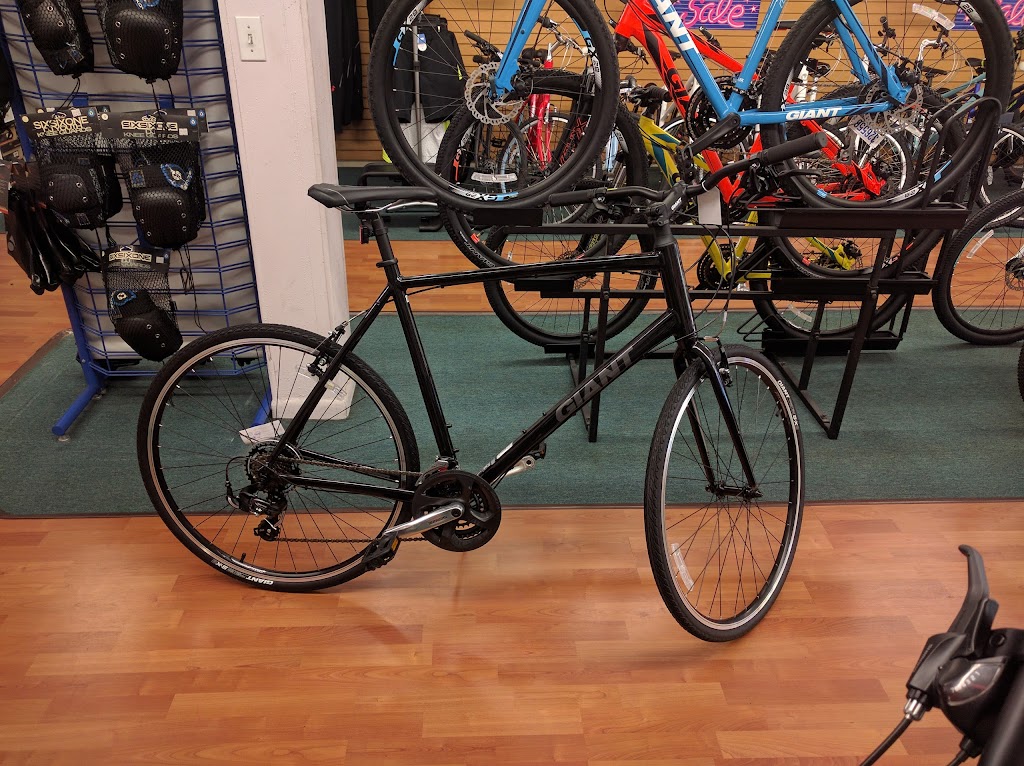 Dannys Cycles - Pelham | 113 Wolfs Ln, Village of Pelham, NY 10803 | Phone: (914) 738-3338