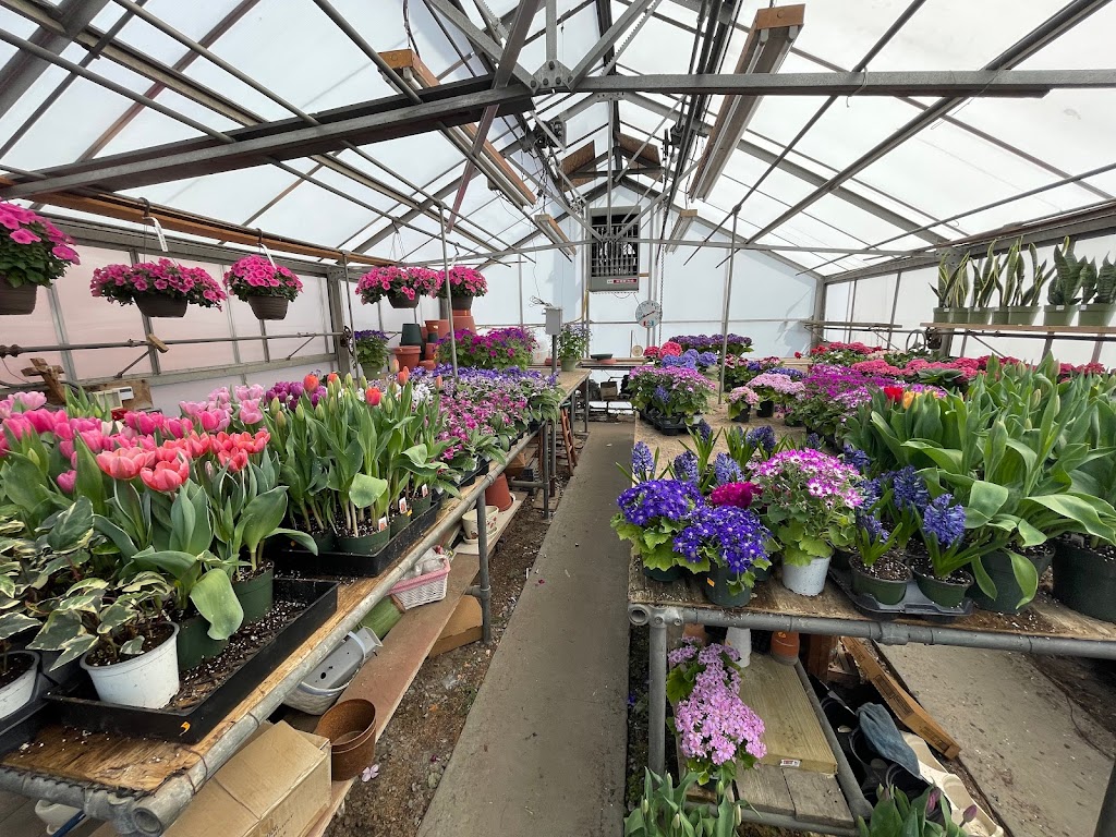 Mangone’s Garden Center | 1427 E Boston Post Rd, Mamaroneck, NY 10543 | Phone: (914) 777-1800