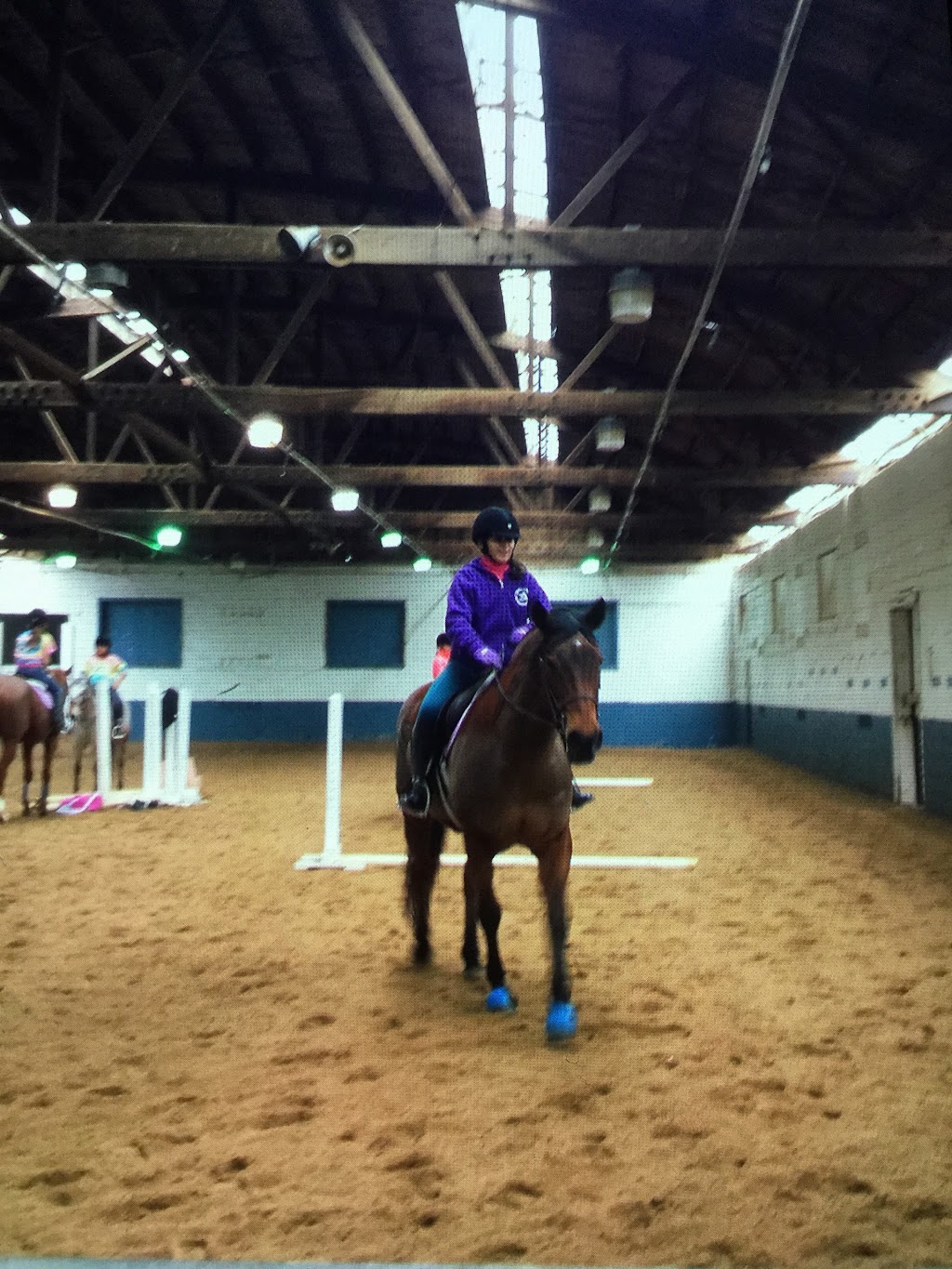 Thomas School Of Horsemanship Summer Day Camp & Riding School | 250 Round Swamp Rd, Melville, NY 11747 | Phone: (631) 692-6840