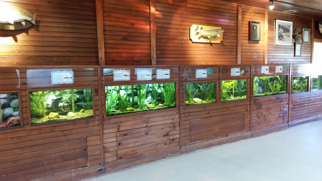 Cold Spring Harbor Fish Hatchery & Aquarium | 1660 NY-25A, Cold Spring Harbor, NY 11724 | Phone: (516) 692-6768