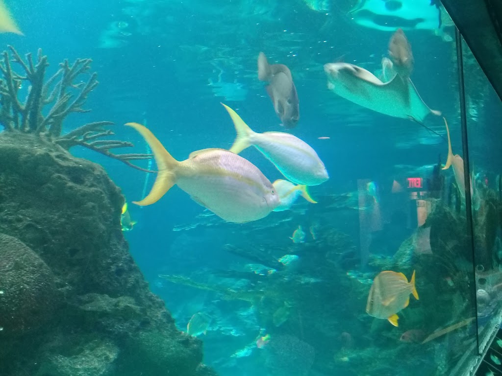 New York Aquarium Education Hall | Brooklyn, NY 11224 | Phone: (718) 265-3474