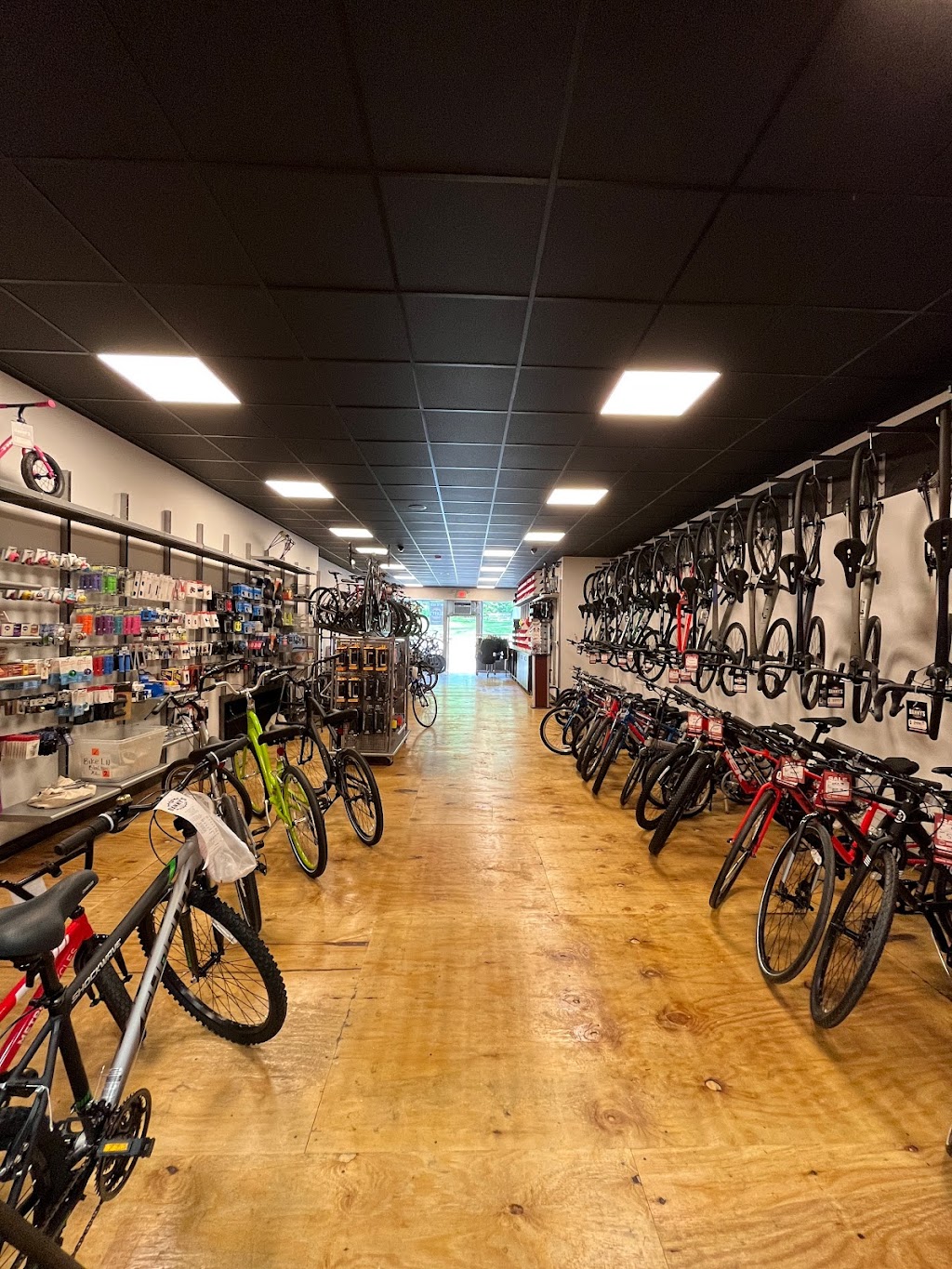 Dannys Cycles - Pelham | 113 Wolfs Ln, Village of Pelham, NY 10803 | Phone: (914) 738-3338