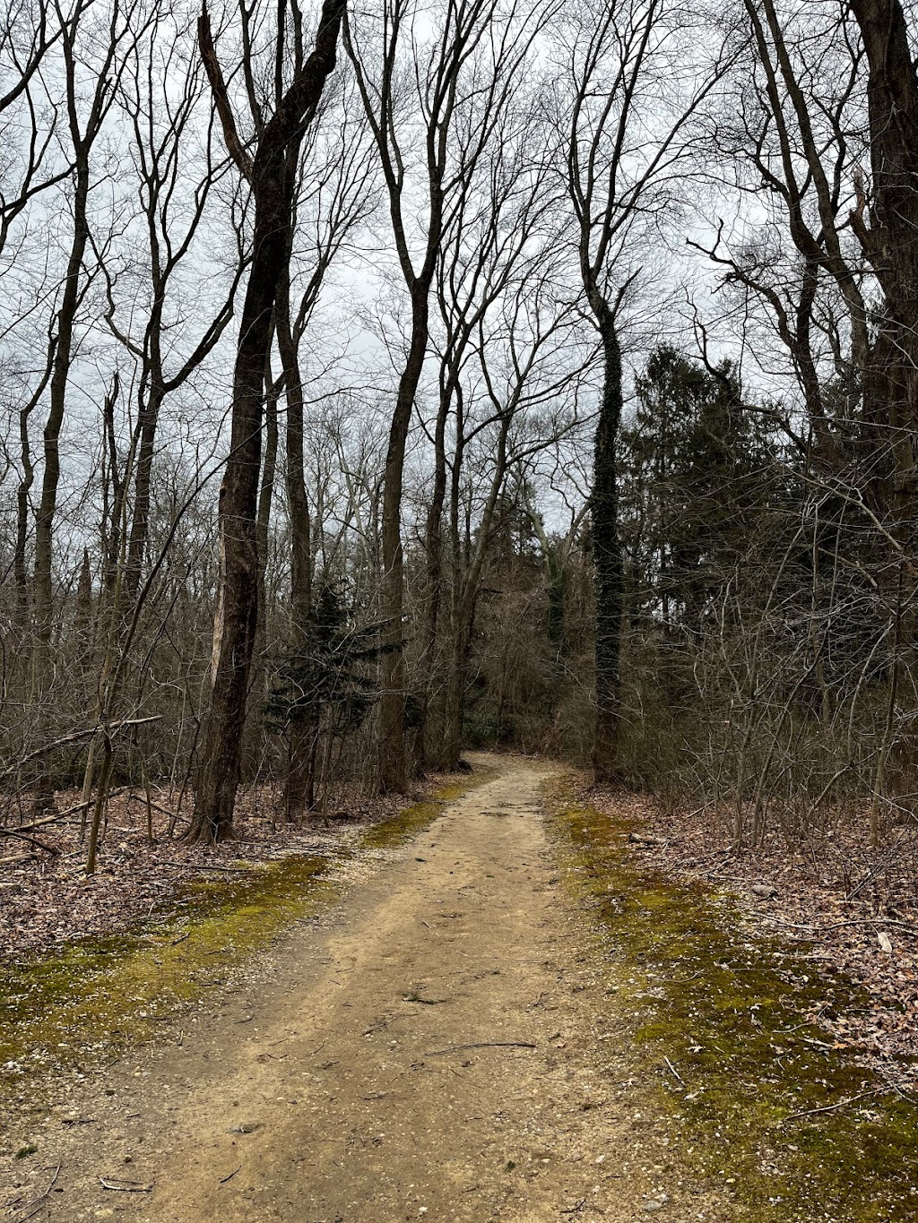 Muttontown Preserve Equestrian Center | Jericho Oyster Bay Rd, Syosset, NY 11791 | Phone: (516) 571-8500