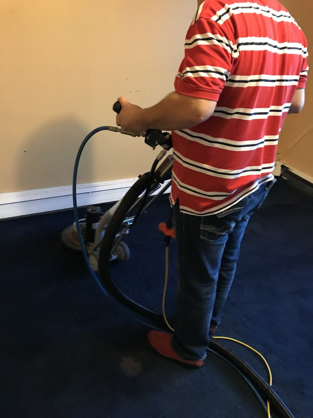 Long Island Carpet Cleaners | 71-02 80th St, Glendale, NY 11385 | Phone: (718) 383-7000