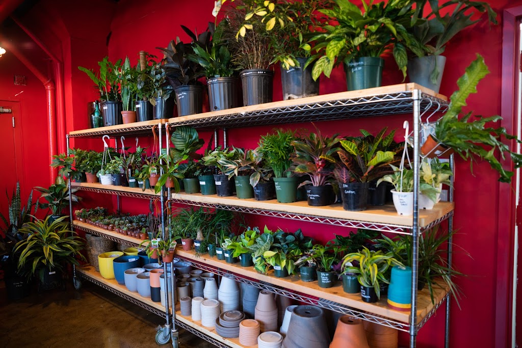 Mae Mae Café & Plant Shop | 2417 Third Ave, Bronx, NY 10451 | Phone: (212) 337-6098