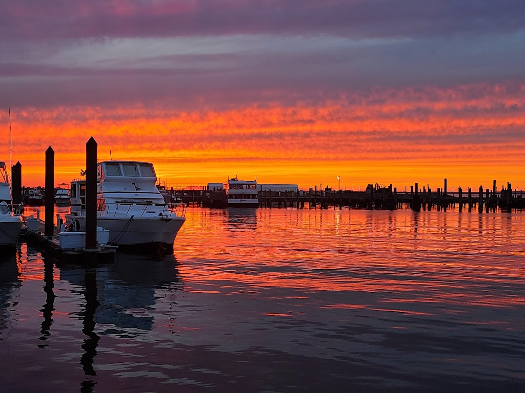 Seastreak Ferry - Atlantic Highlands | 2 First Ave, Atlantic Highlands, NJ 07716 | Phone: (800) 262-8743