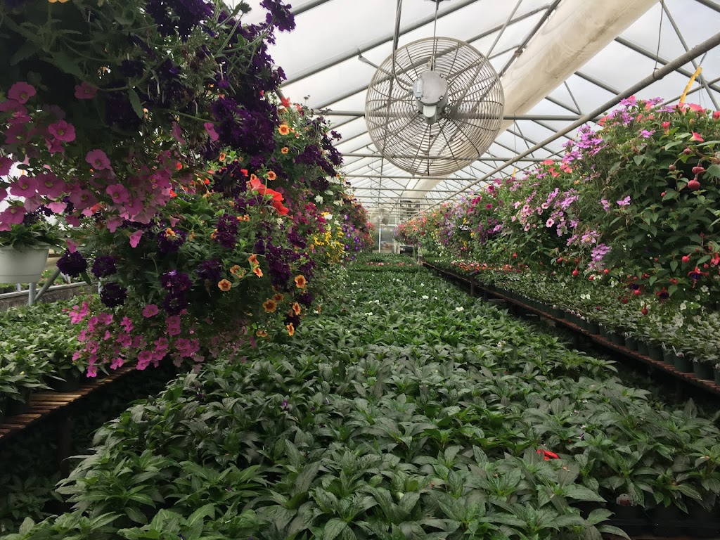 Gedney Farms Nursery | 870 Mamaroneck Ave, White Plains, NY 10605 | Phone: (914) 949-4100