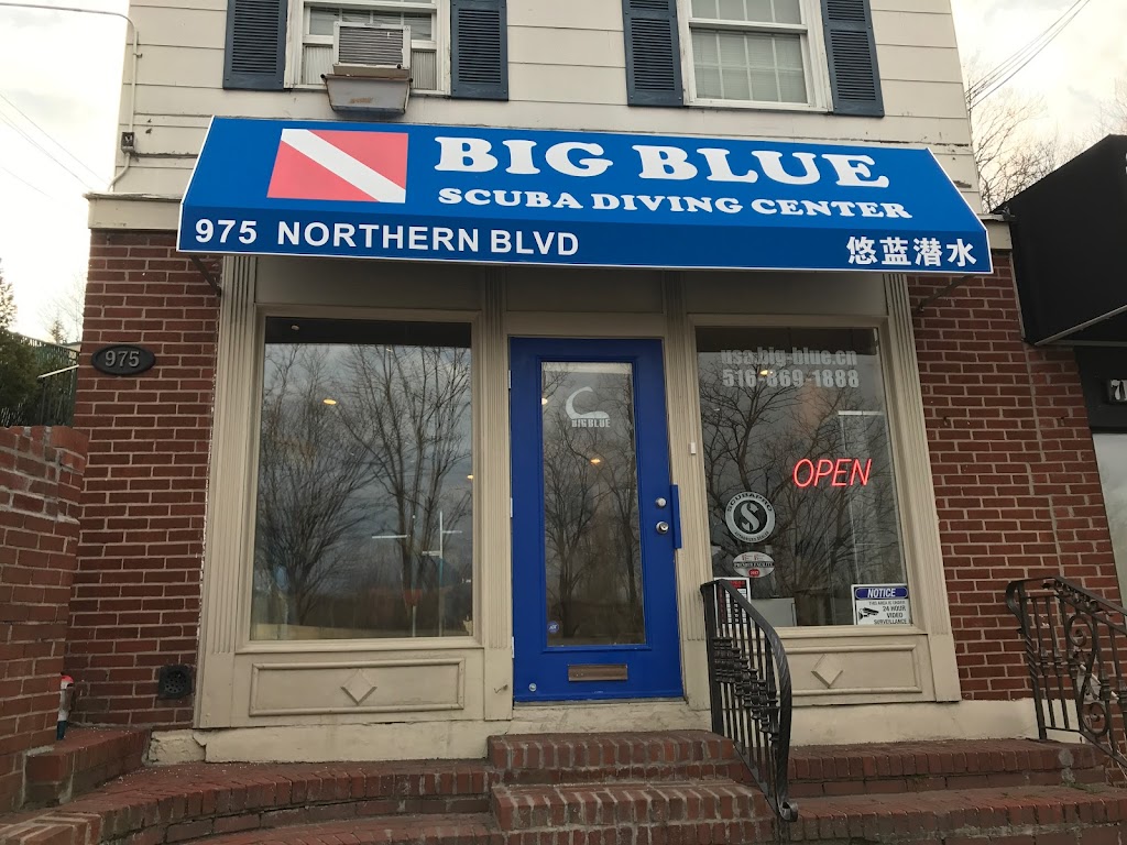 Big Blue Scuba | 96 Middle Neck Rd, Great Neck, NY 11021 | Phone: (516) 869-1888