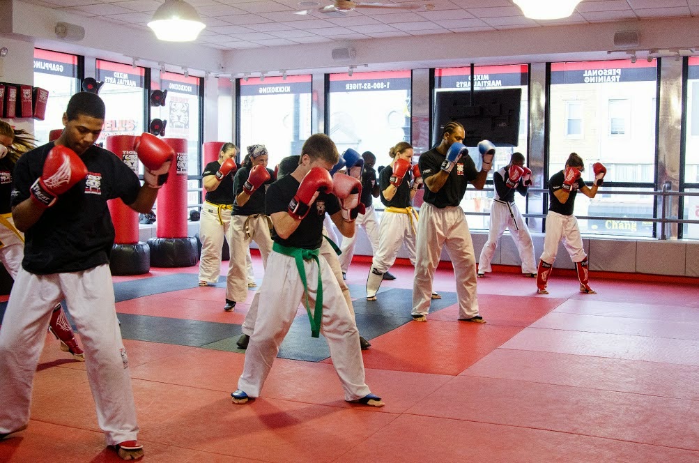 Tiger Schulmanns Martial Arts (Garden City, NY) | 650 Stewart Ave, Garden City, NY 11530 | Phone: (516) 200-4048