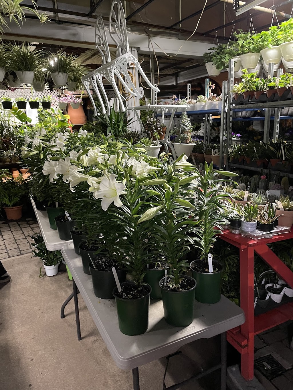 DErcole Farms & Garden Center | 489 Tappan Rd, Northvale, NJ 07647 | Phone: (201) 768-0495