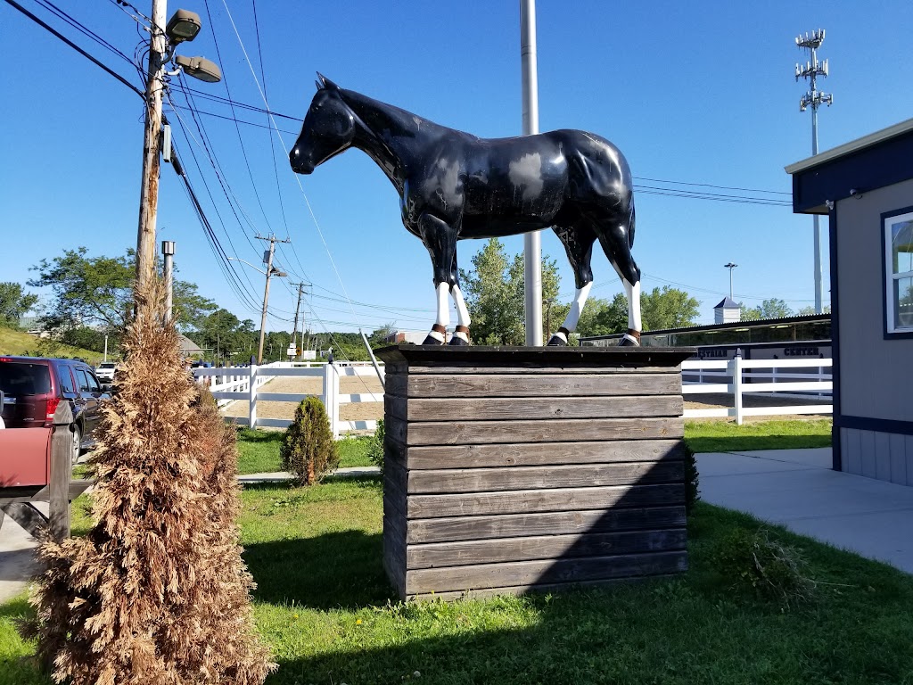 Bethpage Equestrian Center | 499 Winding Rd, Old Bethpage, NY 11804 | Phone: (516) 845-1000