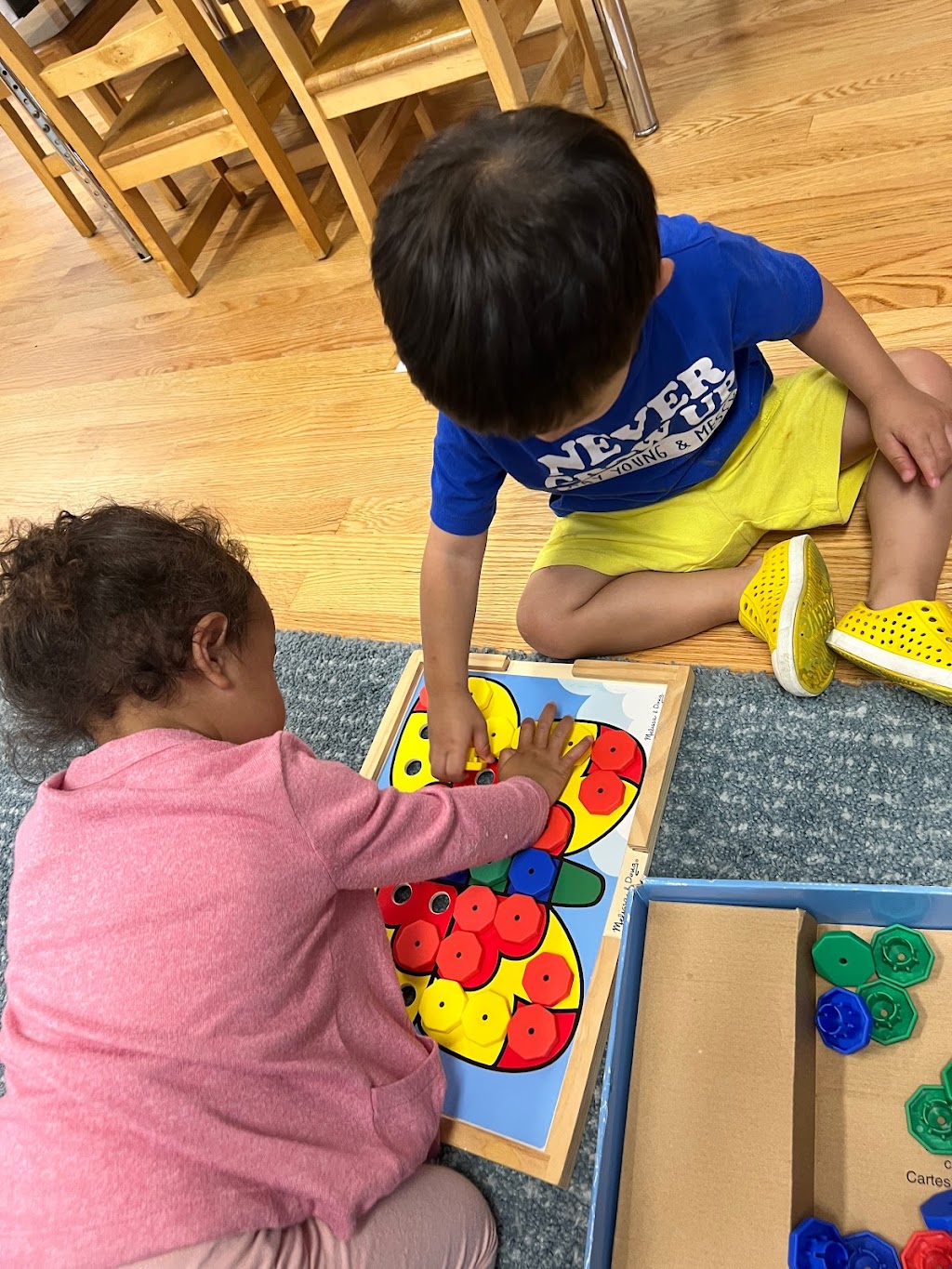 Little Blue Treehouse Preschool | 198-18 32nd Rd, Queens, NY 11358 | Phone: (718) 362-3026