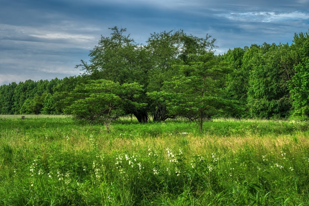 Marshlands Conservancy | 220 Boston Post Rd, Rye, NY 10580 | Phone: (914) 835-4466