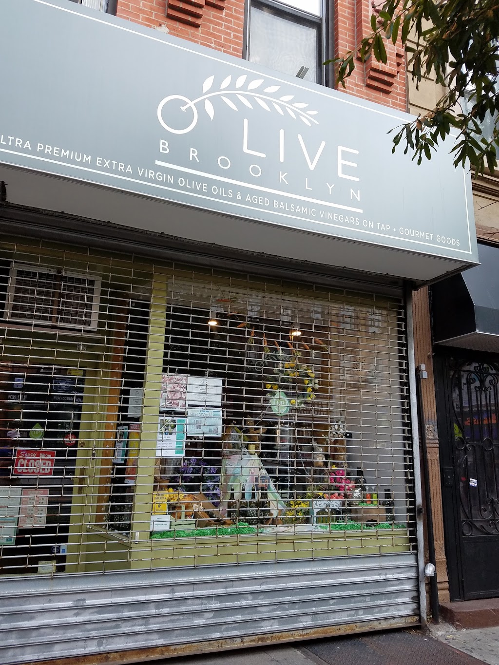 O Live Brooklyn | 140 5th Ave, Brooklyn, NY 11217 | Phone: (718) 783-1680