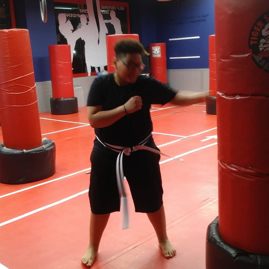 Tiger Schulmanns Martial Arts (Greenpoint, NY) | 211 McGuinness Blvd, Brooklyn, NY 11222 | Phone: (718) 301-0962